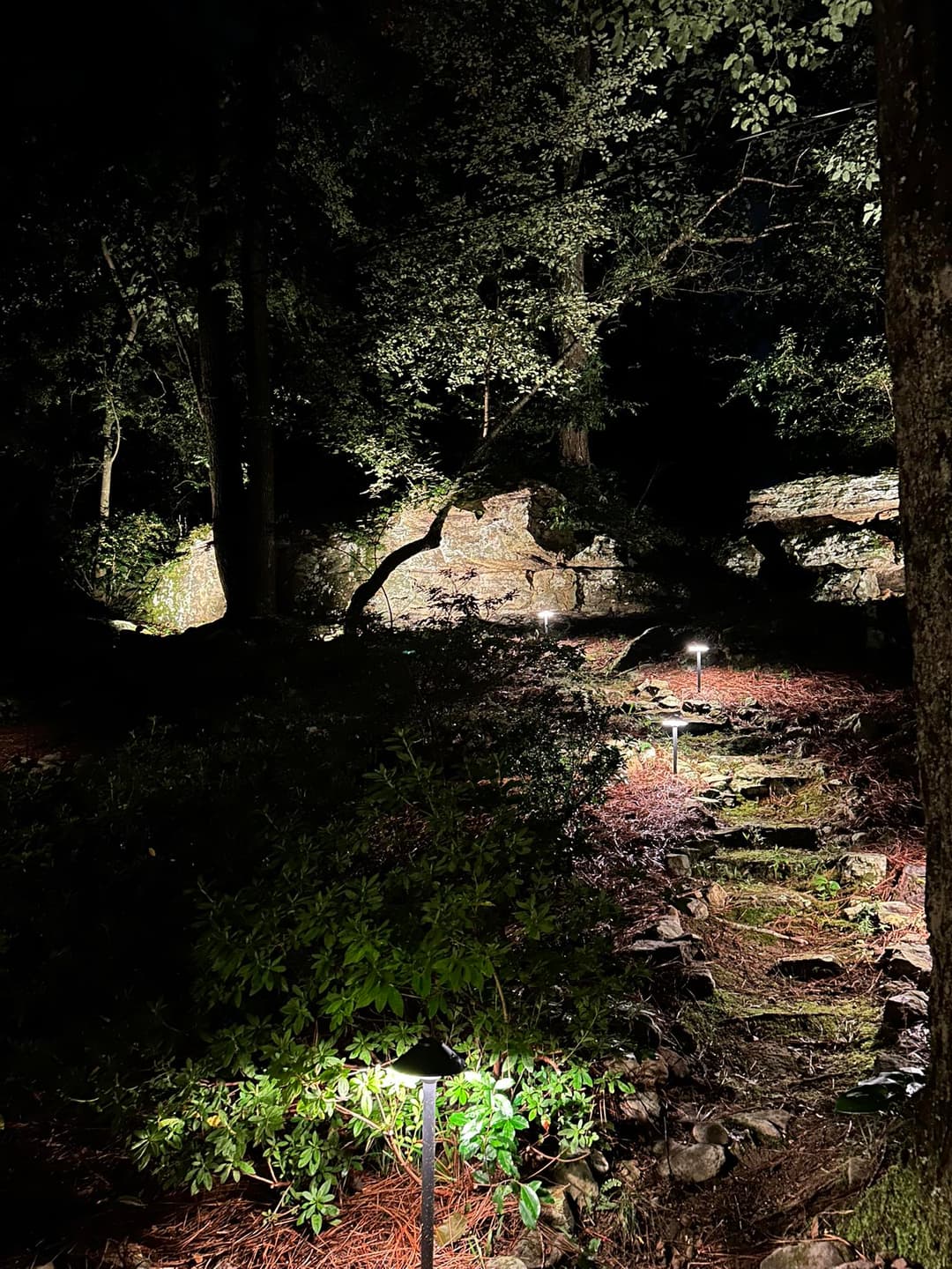 Pathway in a forest illuminated by decorative lights at night, surrounded by trees and stones.