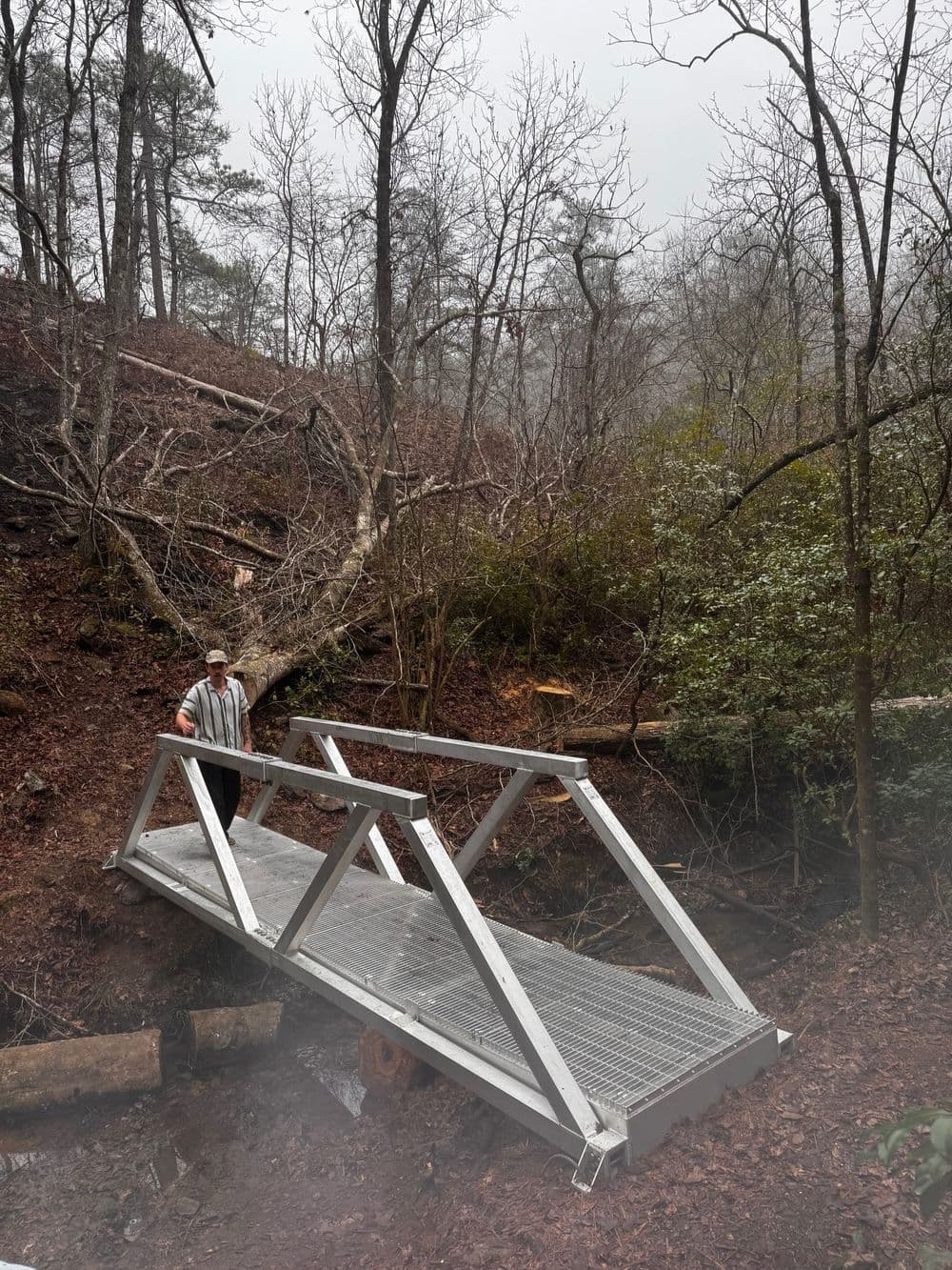 Person standing on a metal footbridge in a foggy forested area with fallen trees.