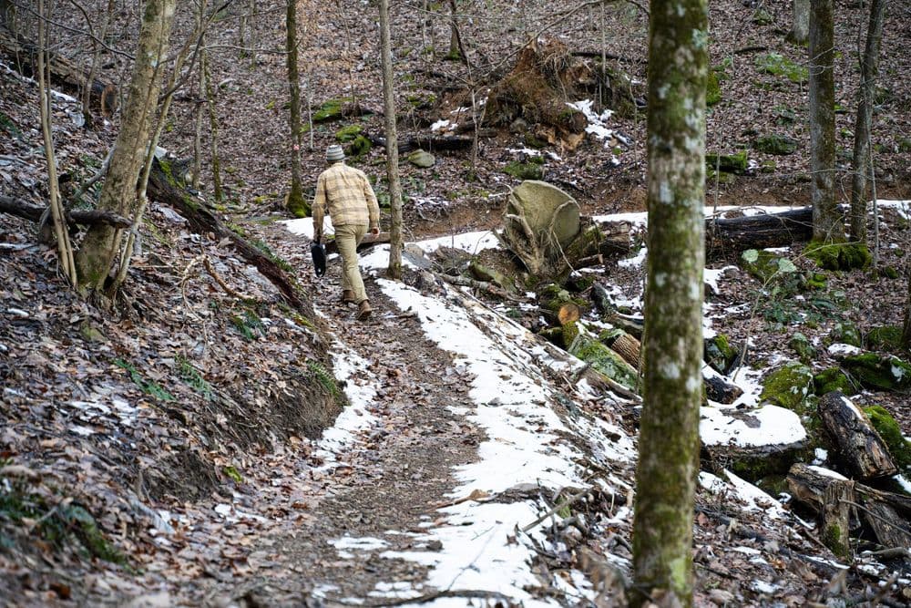 Person walking on a snowy forest trail surrounded by trees and rocky terrain.