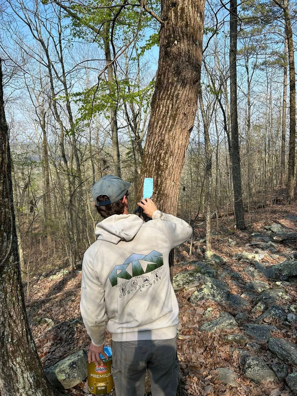 Person marking a tree in a forest during spring, wearing a gray hoodie and holding a paint can.