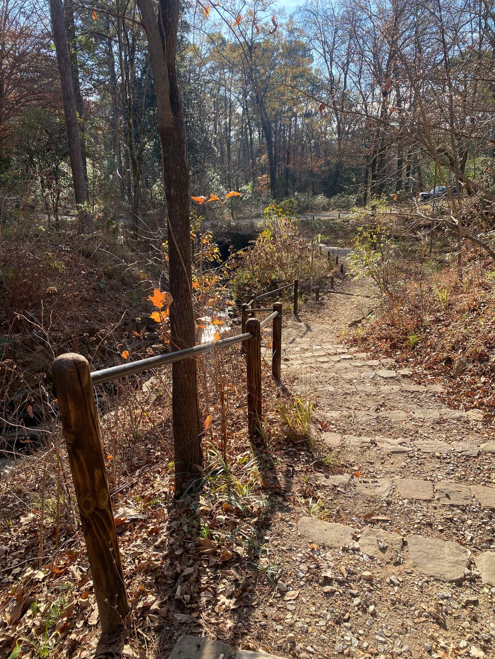 steep path with wooden railing leading through autumn forest landscape