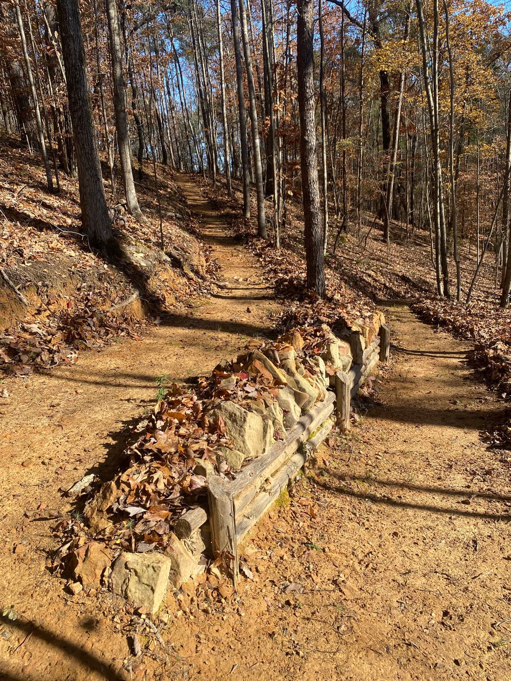 Rock and leaf-covered trail in a wooded area with autumn foliage and sunlight filtering through trees.