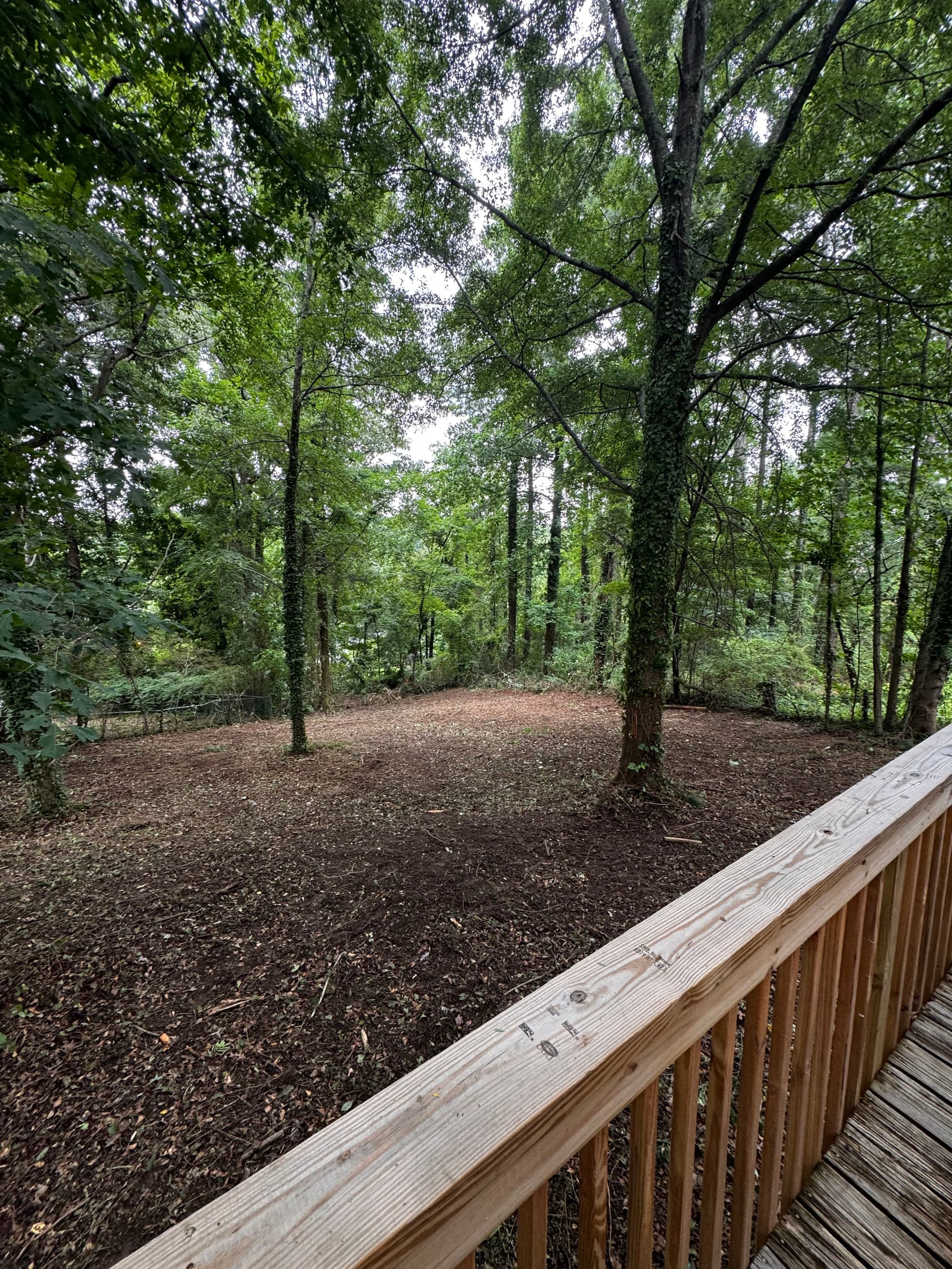 Gallery photos for Backyard Taken Over by Poison Ivy? Here's What We Can Do: Image #1