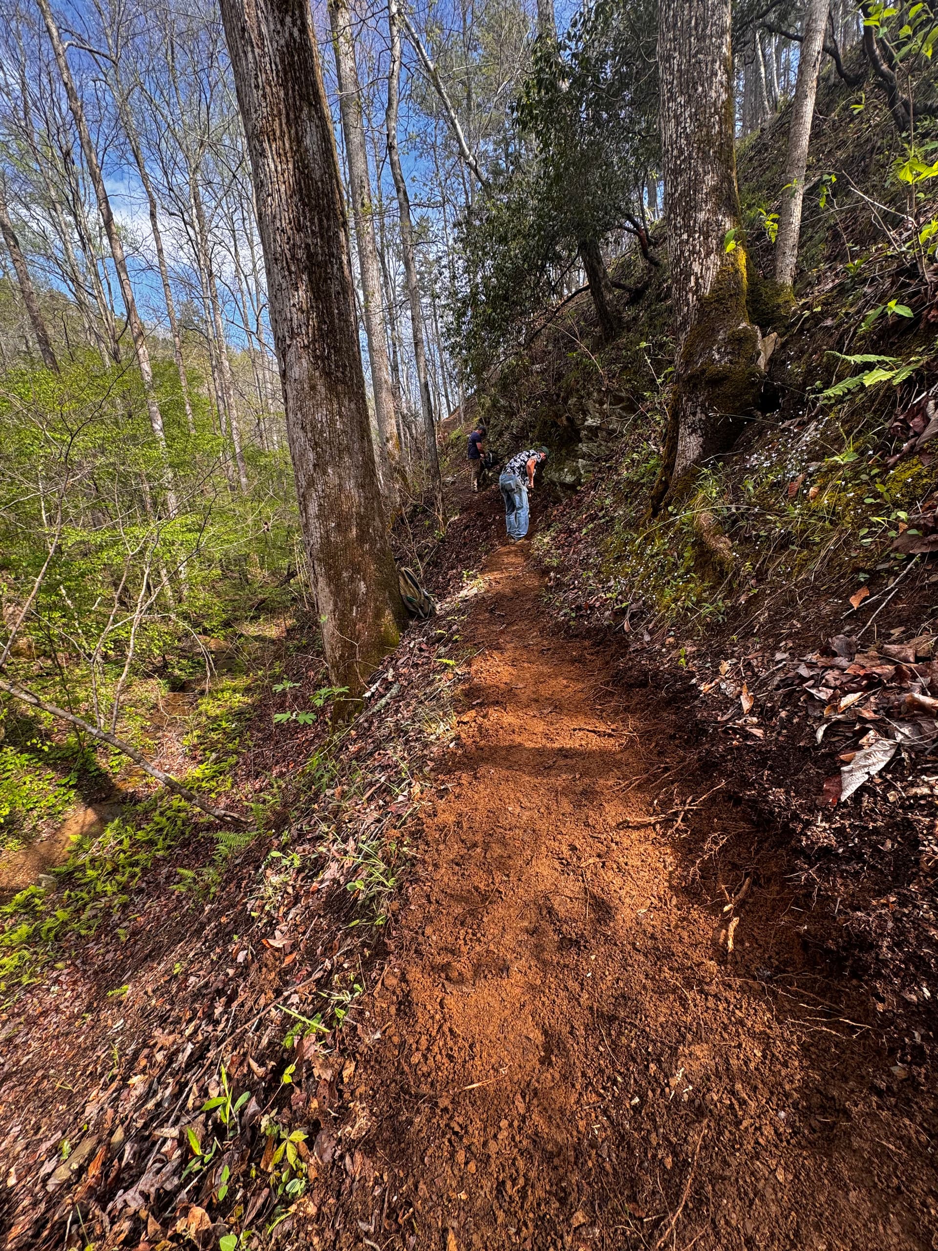 Pinhoti Trail Tread Rebuild Puts Hikers Back on Solid Ground image